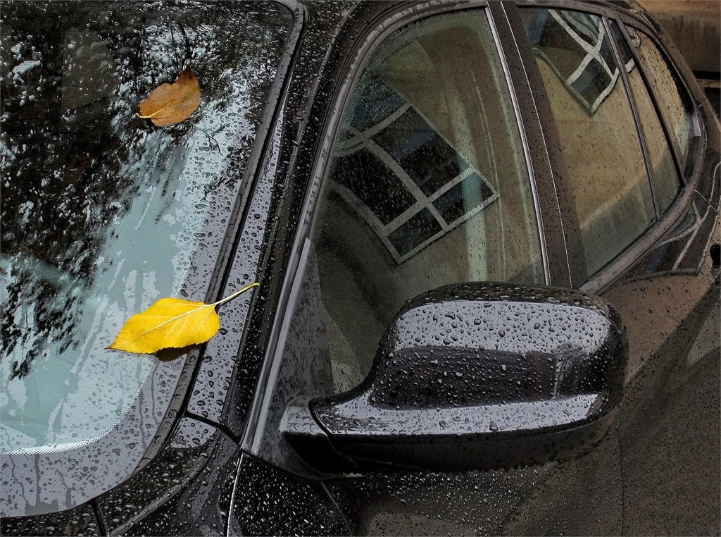 Prepare su coche para el otoño